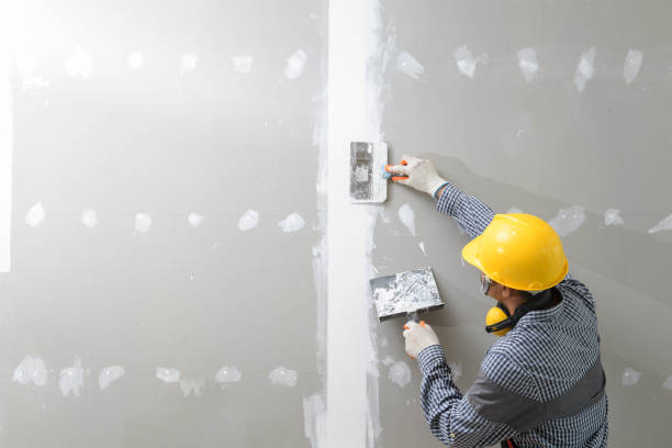 Best Comprehensive Air Testing for Mold Contaminants  in South Pasadena, CA