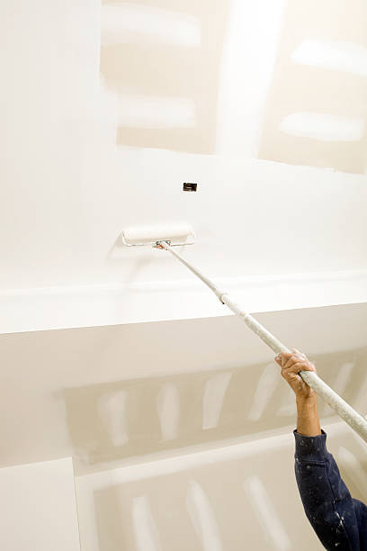 Reliable South Pasadena, CA Mold Removal Solutions