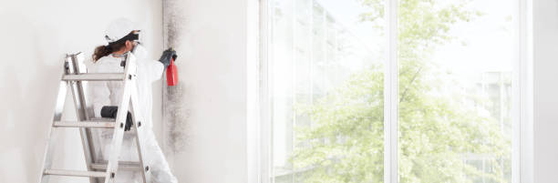 Best Asbestos and Lead Testing During Mold Inspection  in South Pasadena, CA