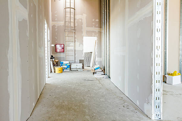 Asbestos and Lead Testing During Mold Inspection in South Pasadena, CA